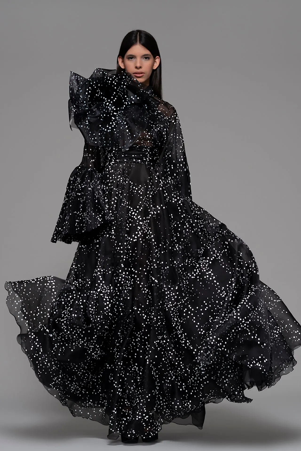 Embroidered Long-Sleeved Flared A-line Dress