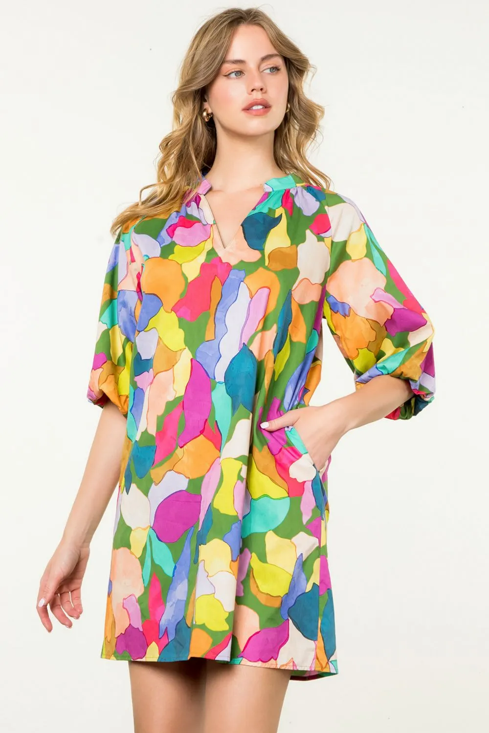 Glenda Puff Sleeve Multi Color THML Dress