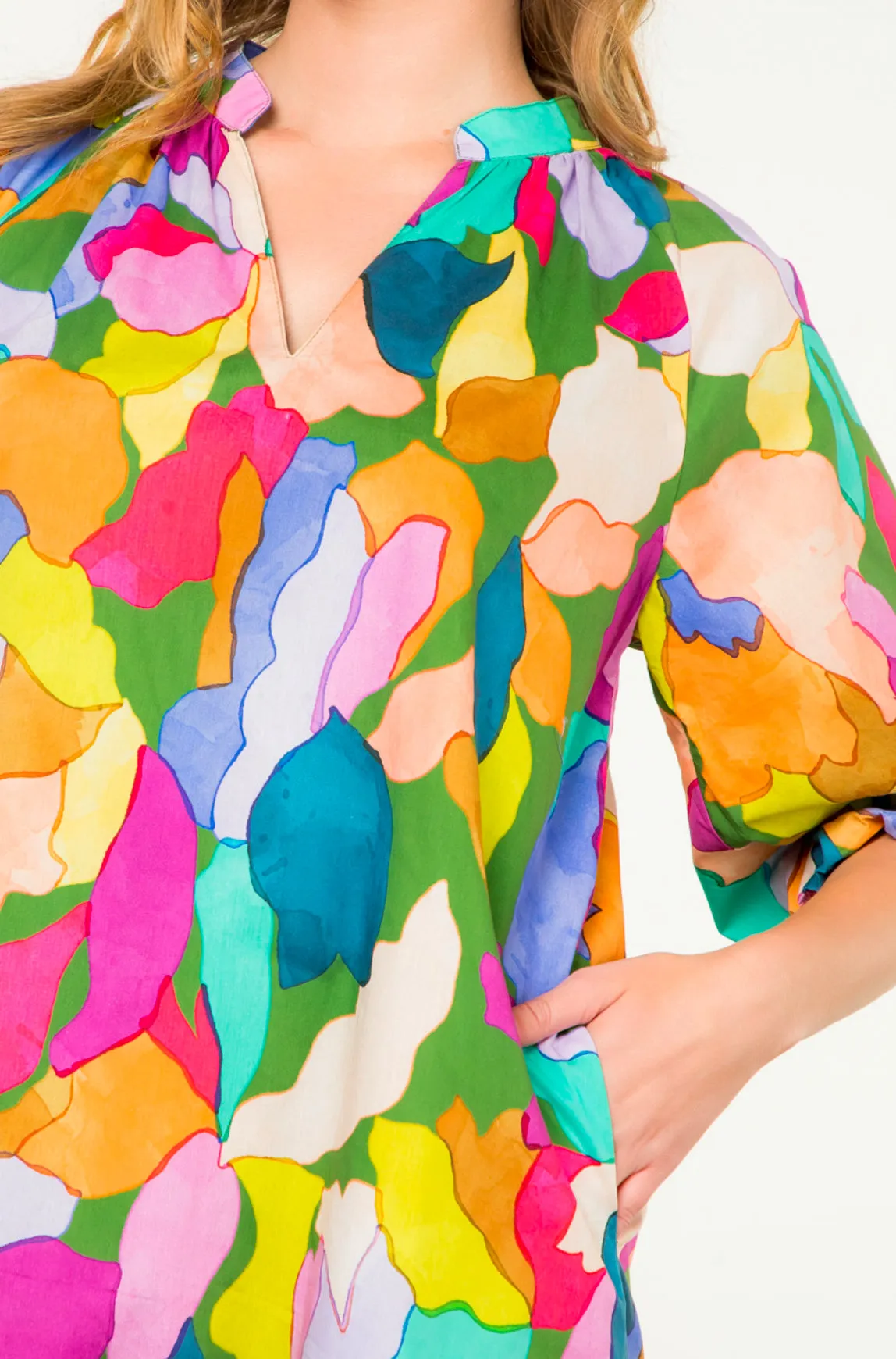 Glenda Puff Sleeve Multi Color THML Dress