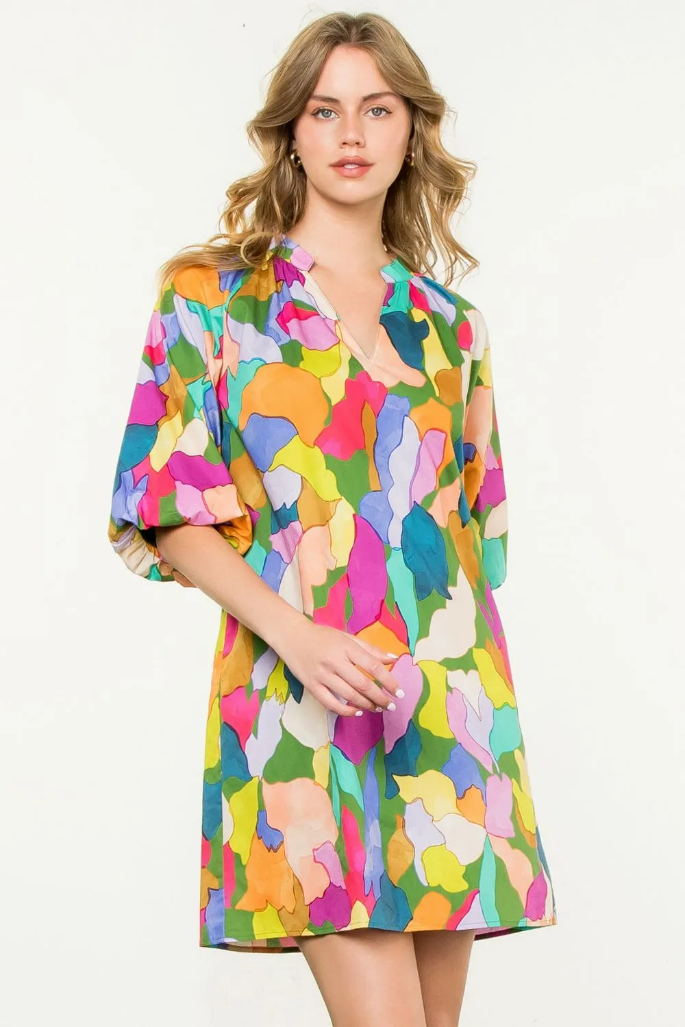 Glenda Puff Sleeve Multi Color THML Dress
