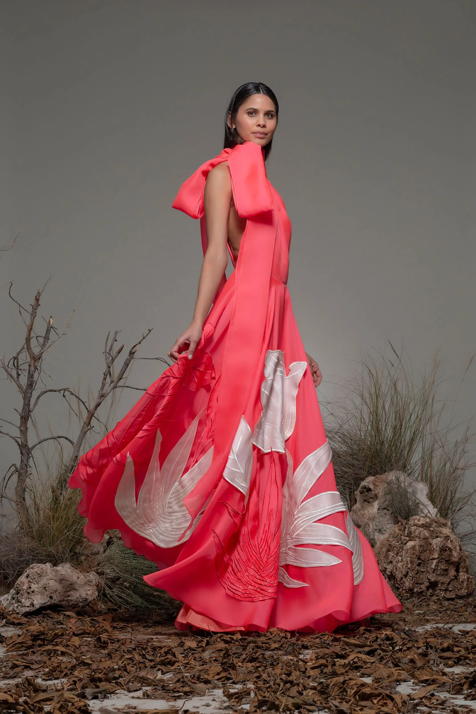 Sleeveless Flared A-line Dress
